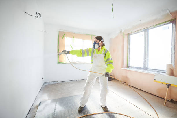 Best Basement Mold Removal  in Union, MS