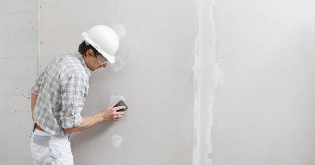 Best Water Damage & Mold Remediation  in Union, MS