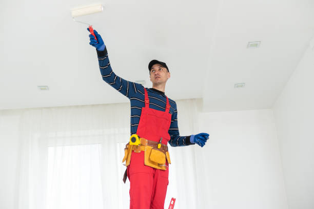 Best Black Mold Removal  in Union, MS