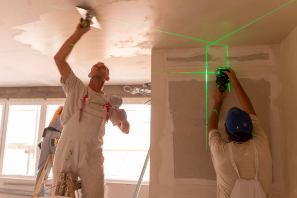 Best Environmental Consulting for Mold Prevention  in Union, MS