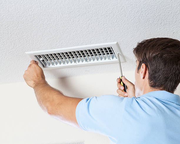 Best Crawl Space Mold Remediation  in Union, MS